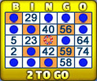 jackpot liner 75 ball bingo card