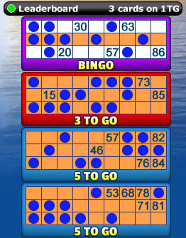 playing jackpot liner 90 ball bingo game